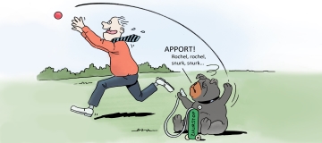 Extreem korte snuit? Niet doen! Lees meer.